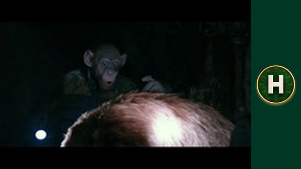 Служба розшуку дітей