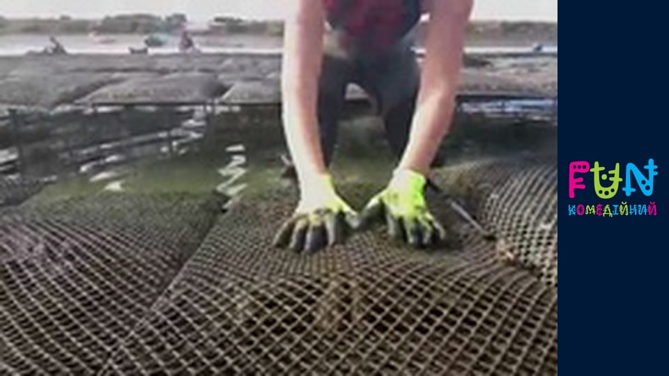 Earners - Season 2 Episode 4