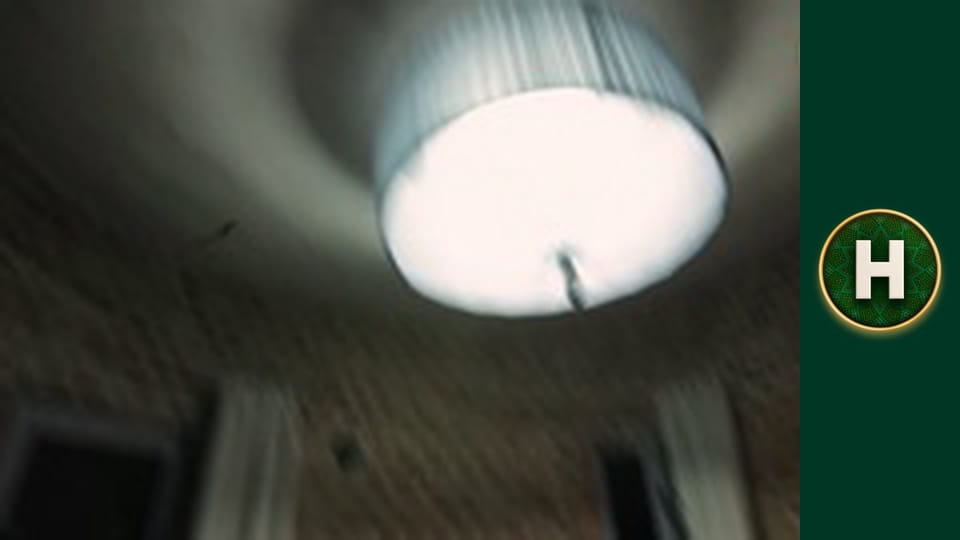 Орел і Решка. Земляни