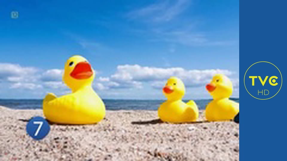 Zakręcone stworzonka z Internetu S1E7