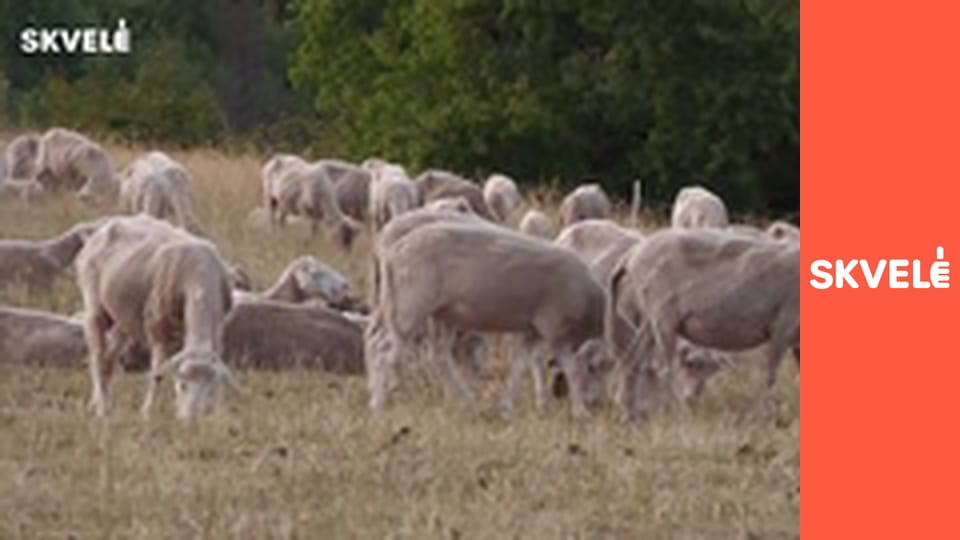 V Kuchyni - Tradičný slovenský salaš