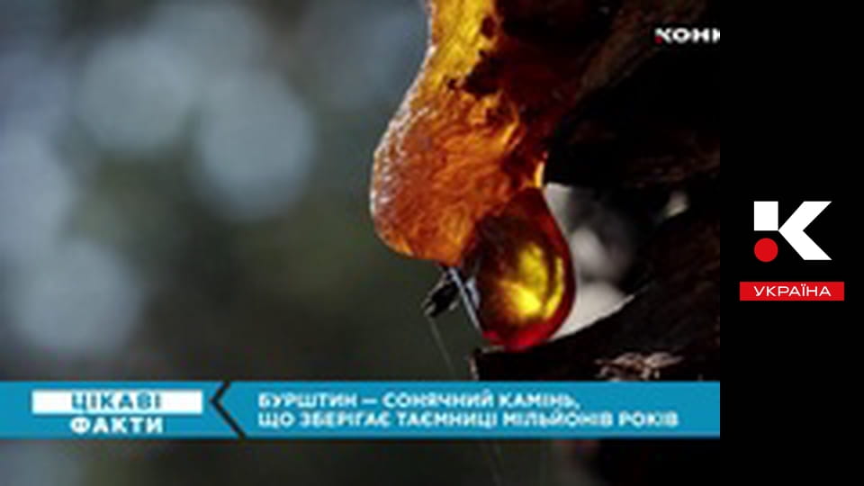 Цікаві факти.