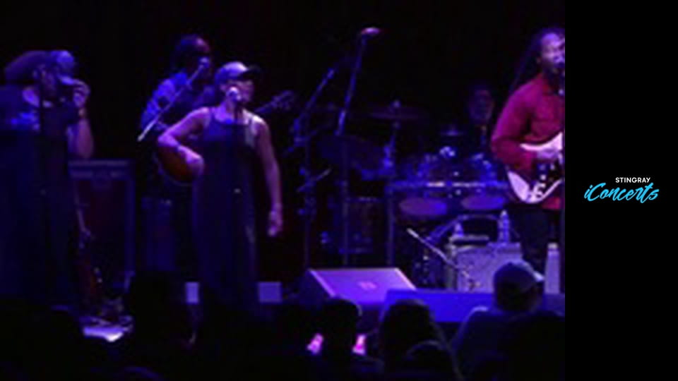 Various Artists - iConcerts Hits