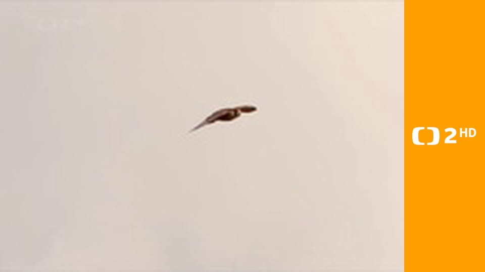 Příroda Walesu S2E2 - Tajemství divočiny