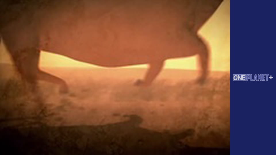 Подорож у Минуле, Випуск 3