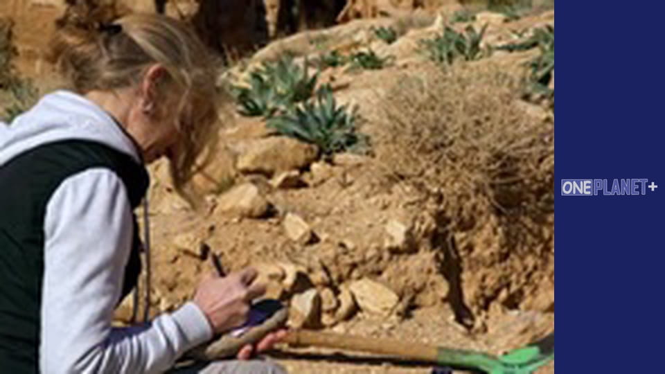 Подорож у Минуле, Випуск 3