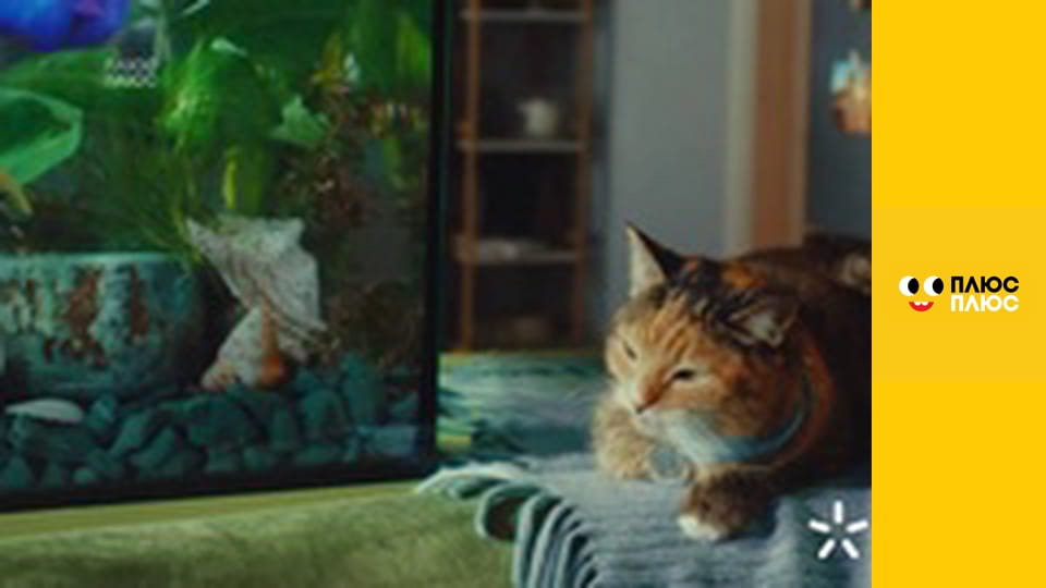 Знімала мама