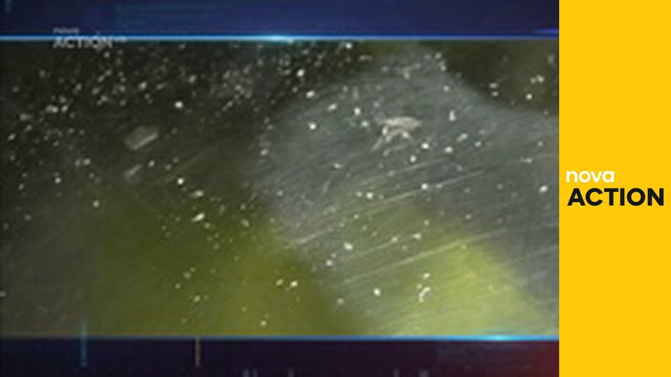 Strážci hranic: Austrálie S16E17