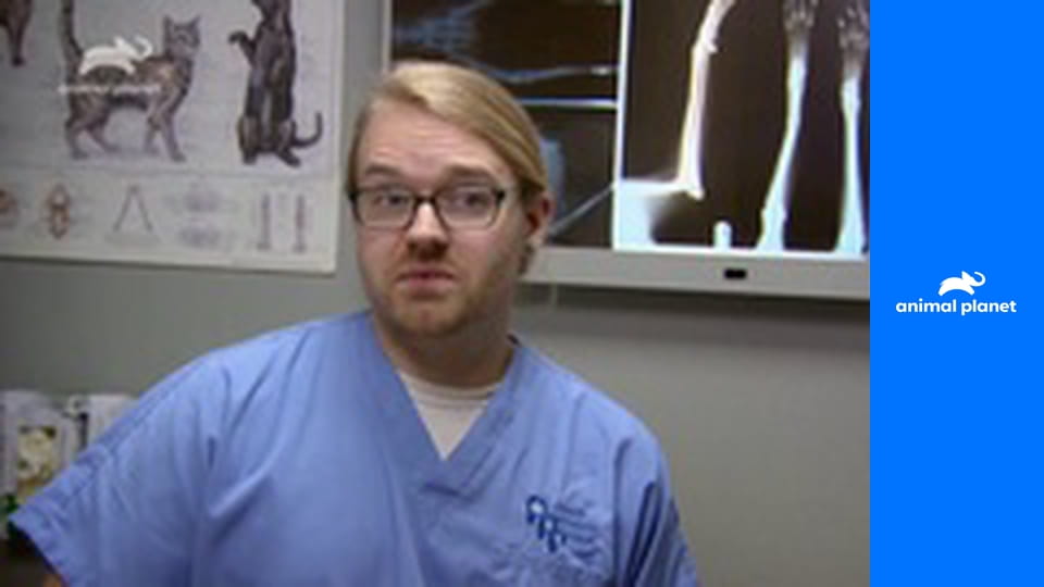 Dr. Jeff: Veterinář ze Skalnatých hor S6E5 - Jeff a jaguár