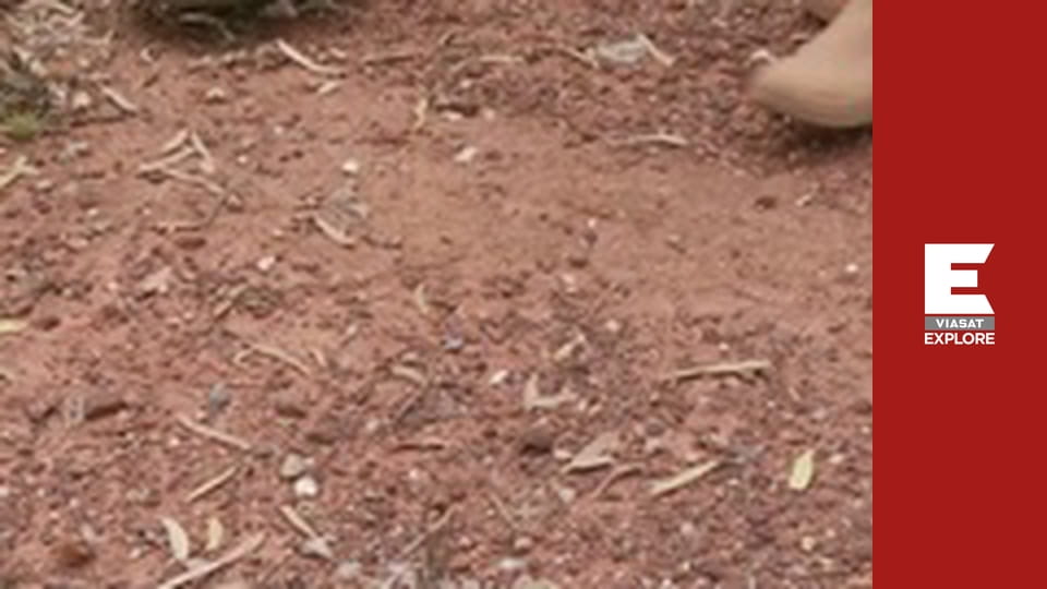 Австралійські золотошукачі - Сезон 4 Серія 7