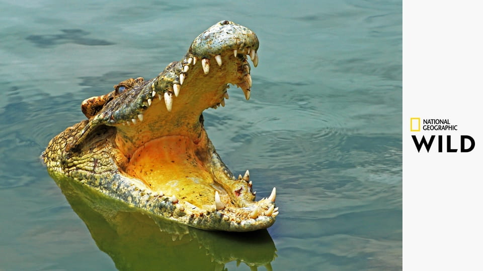 Австралия. Земля древних