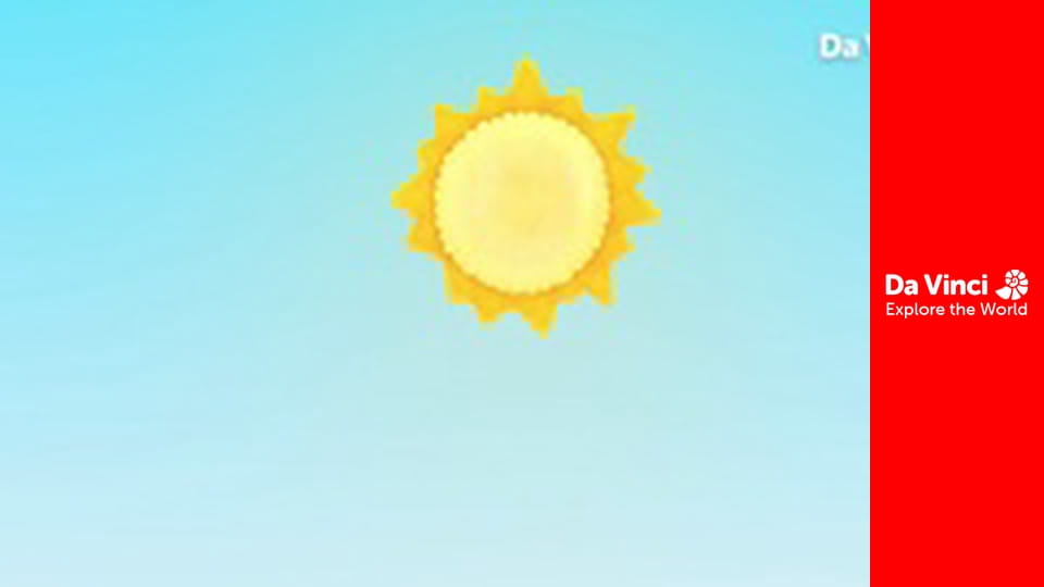 Бріко - Мушля