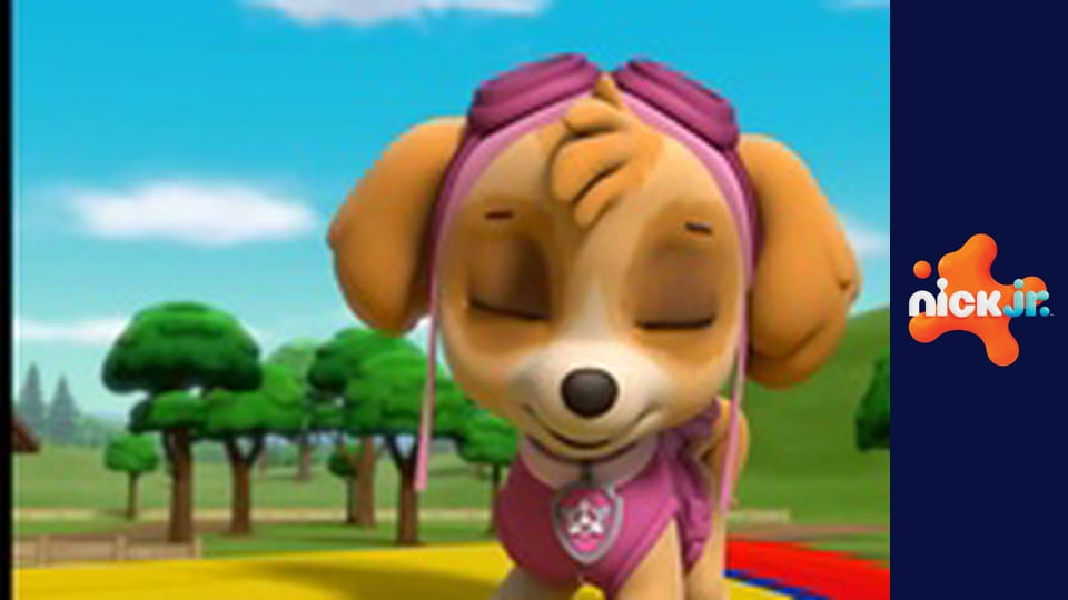 Tlapková patrola S5E26 - Tlapky zachraňují Acino narozeninové překvapení / Tlapky zachraňují šikmou věž Pizzu