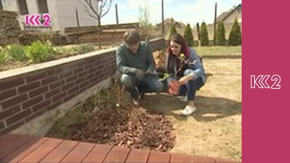 Шість соток S2E28