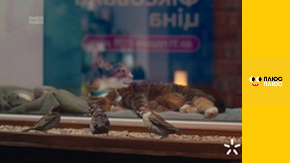 Кремез і команда