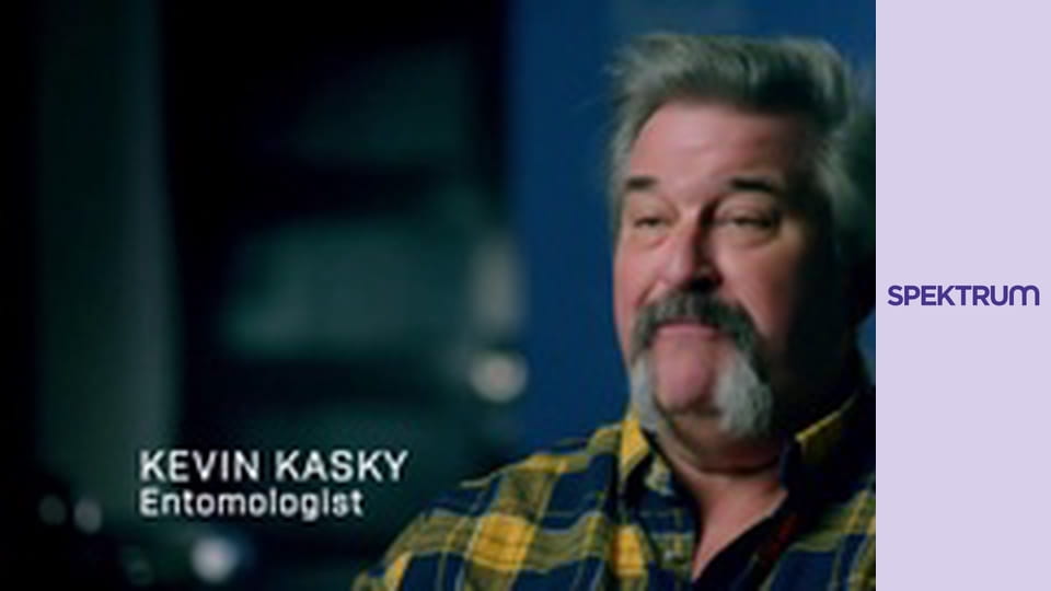 Zvláštní a záhadné S5E12 - Ďábelská loutka