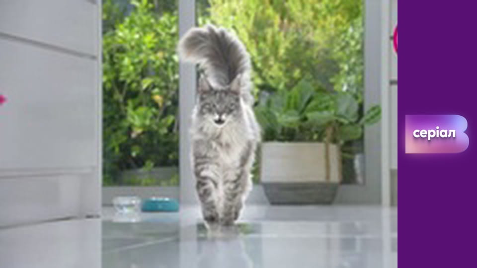 "Реальна містика", 8 сезон, 17 еп. "Трамвай-привид".