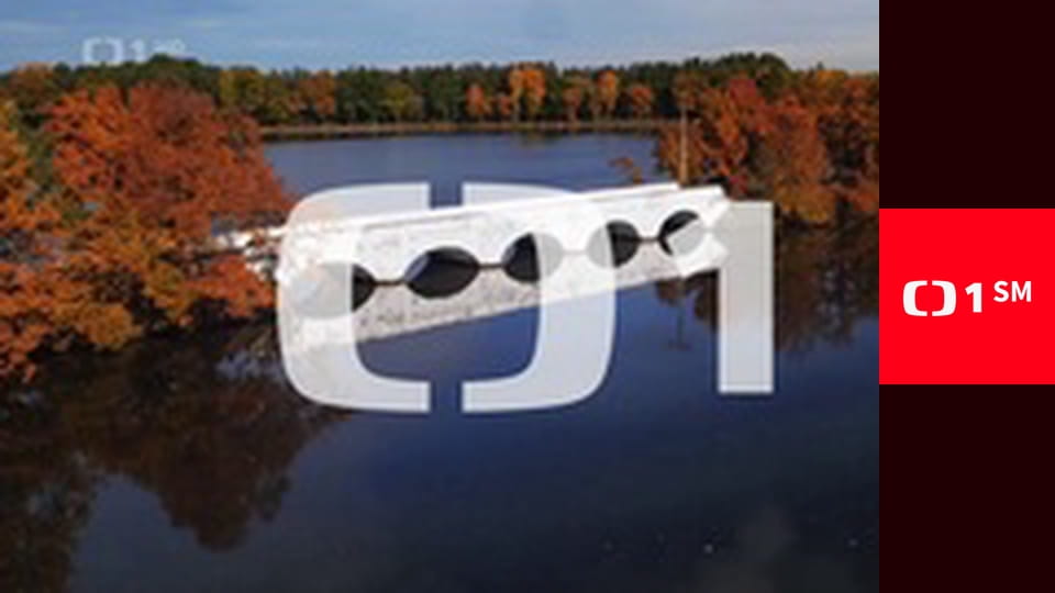 Na silnici jako doma - Nepozornost