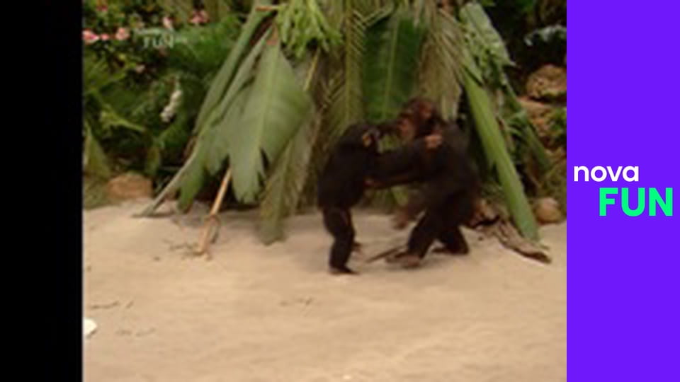 Chůva k pohledání S6E2