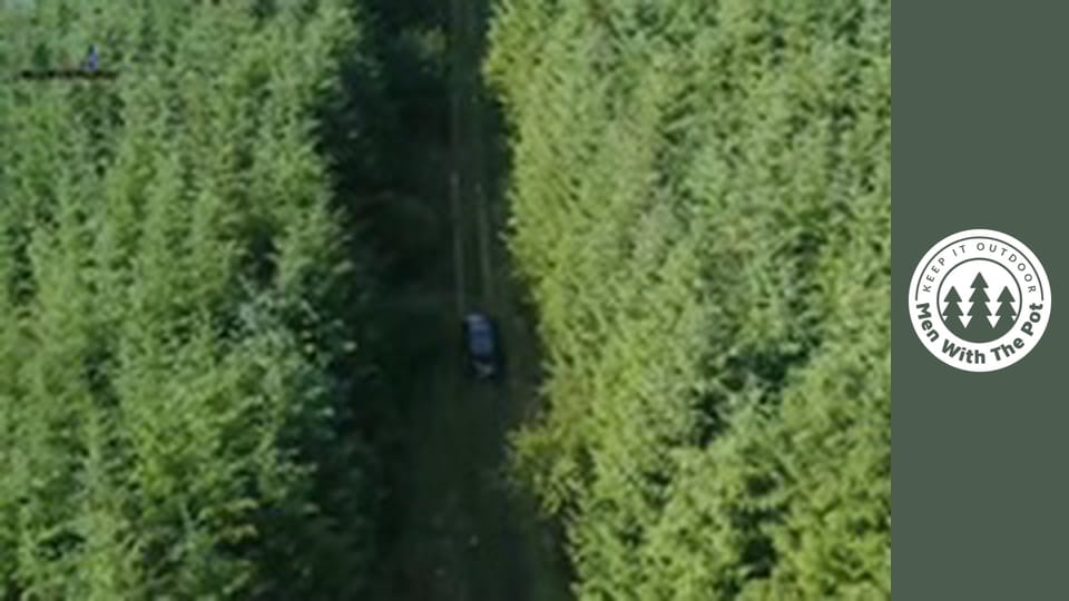 Green Pesto Pasta with Salmon