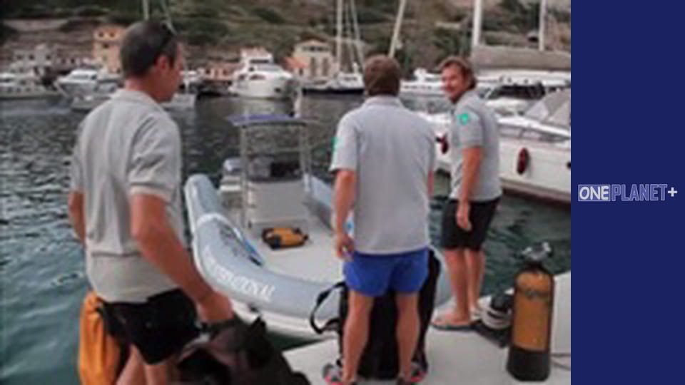 Просто неба - Національні парки. - серия 2