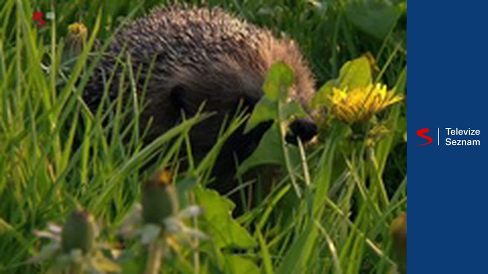 Kalendář přírody E5 - Květen