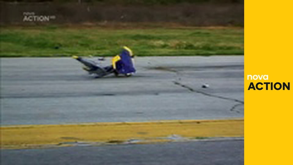 Mistři aukcí S2E9 - Zvířecí instinkty