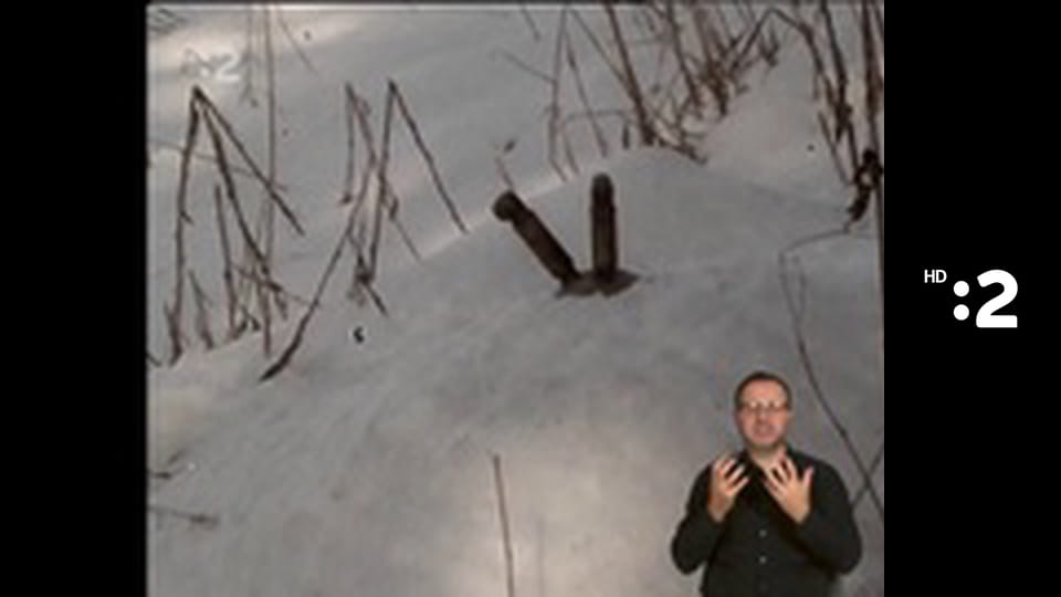 Trpaslíci E125 - SMAJLIVAREŠKA – bláznivé varenie – JABLKÁ V ŽUPANE