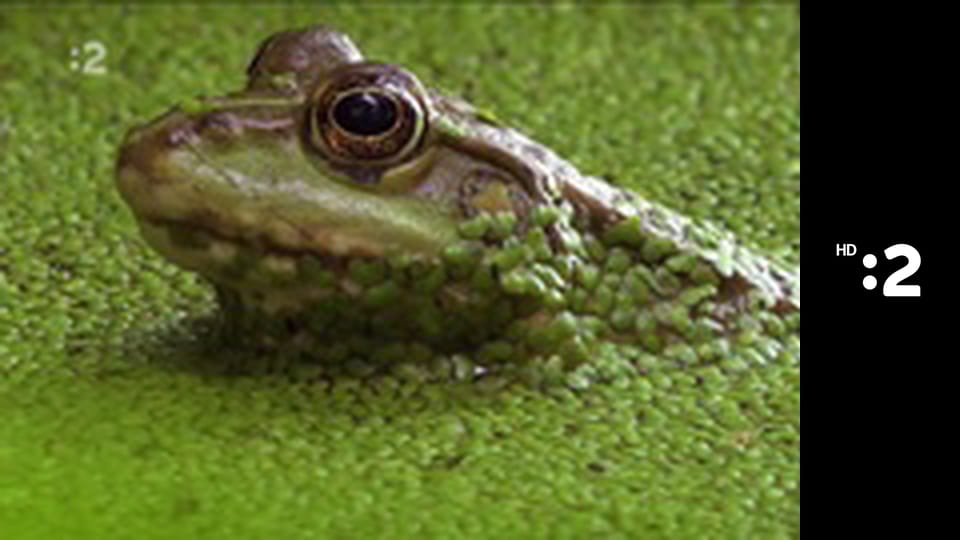 42 - Odpoveď na takmer všetky otázky E10 - O čom hovoria zvieratá?