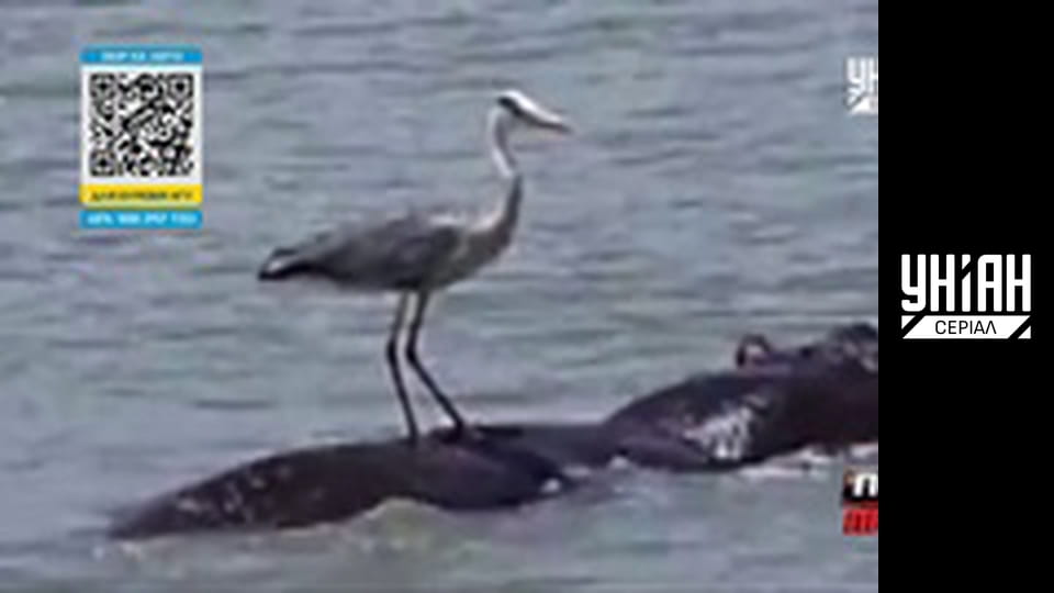 Помста природи