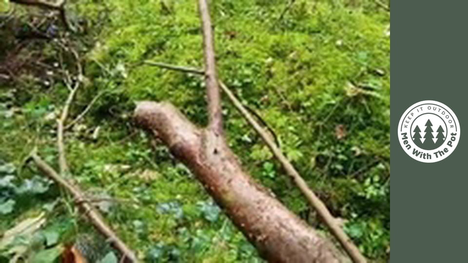 Jambalaya recipe of Shrimp and rice