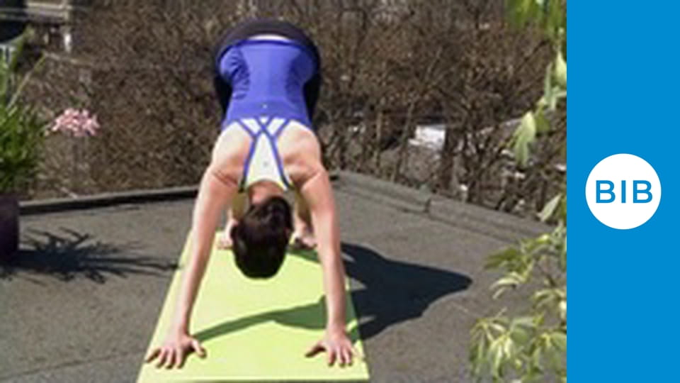 Cric Fit With DJ Bravo