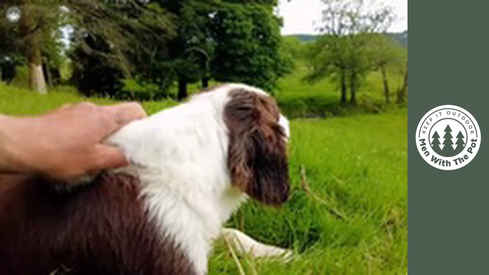 GIANT Tom and Jerry Steak FRIED on a Stone