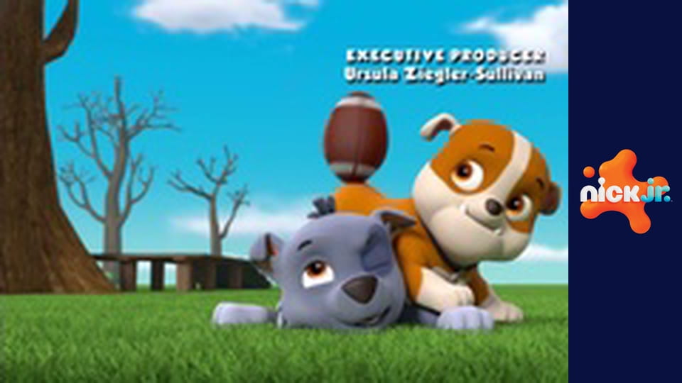 Psi patrol S5E15 - Pieski i tajemnica śnieżnego skutera