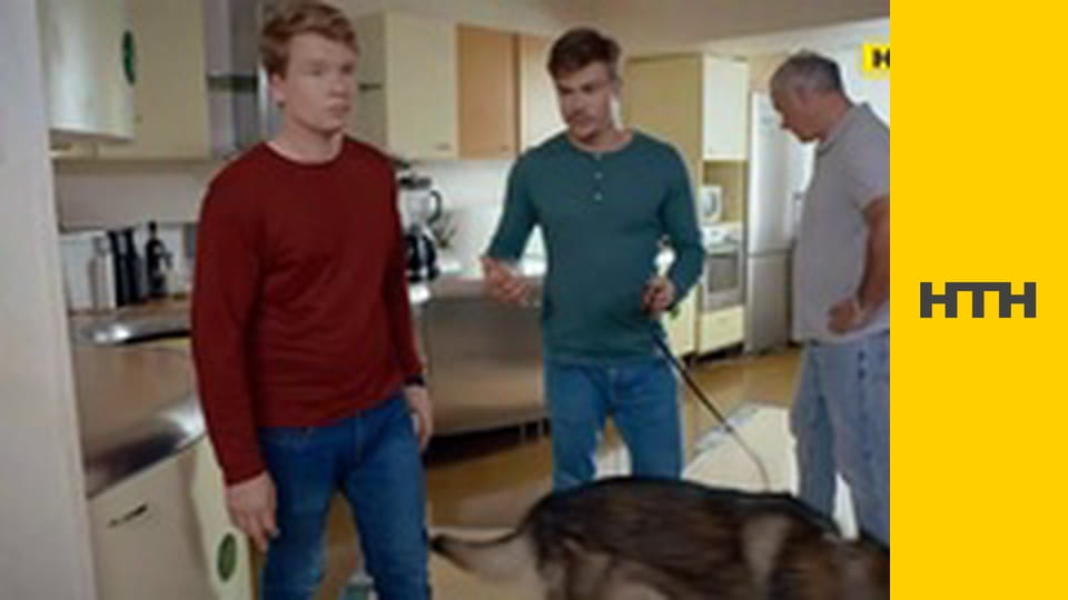 Т/с "Дрон", 35-37 с.