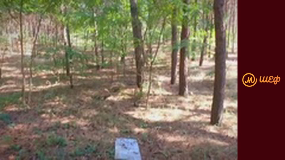 Сезон 7, Выпуск 7, Часть 8