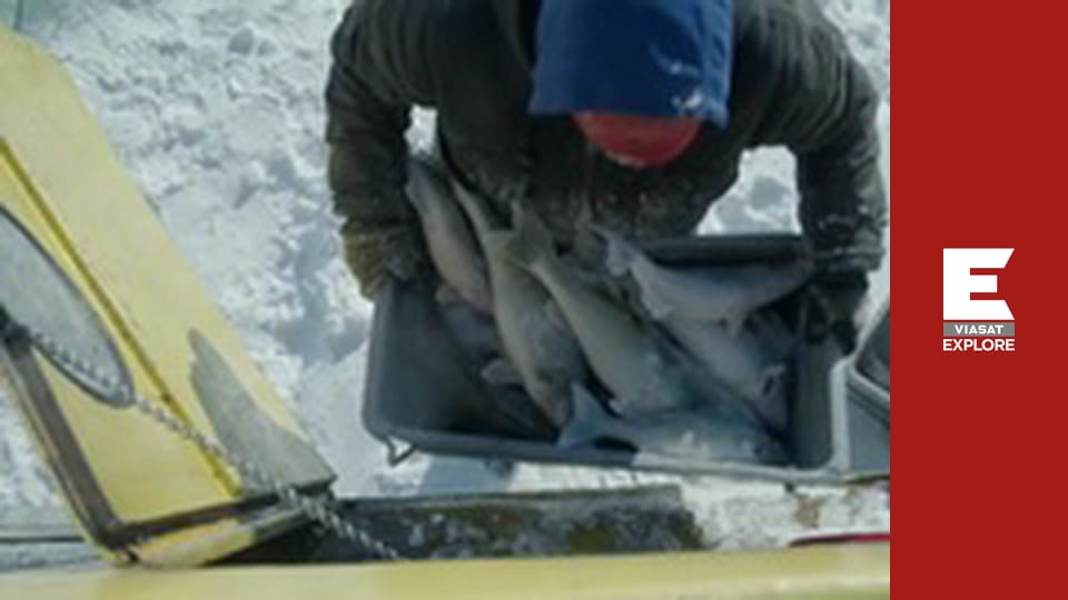 Ice Vikings - First Ice