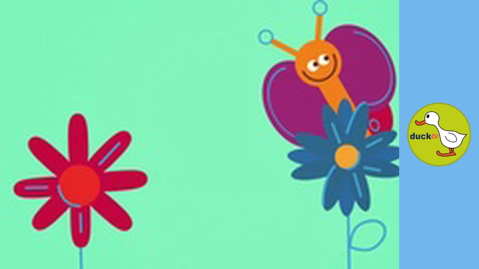 The Shapies - The Butterfly