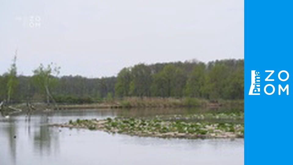 Ptačí říše v rozletu E2