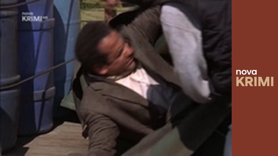 Můj přítel Monk S4E11 - Jak se pan Monk uhodil do hlavy