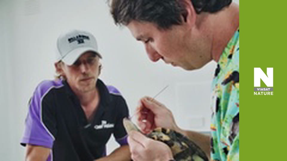 Кліника дивних тварин - Серія 1