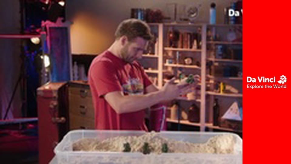 Математичний вибух - Наскільки високе дерево?