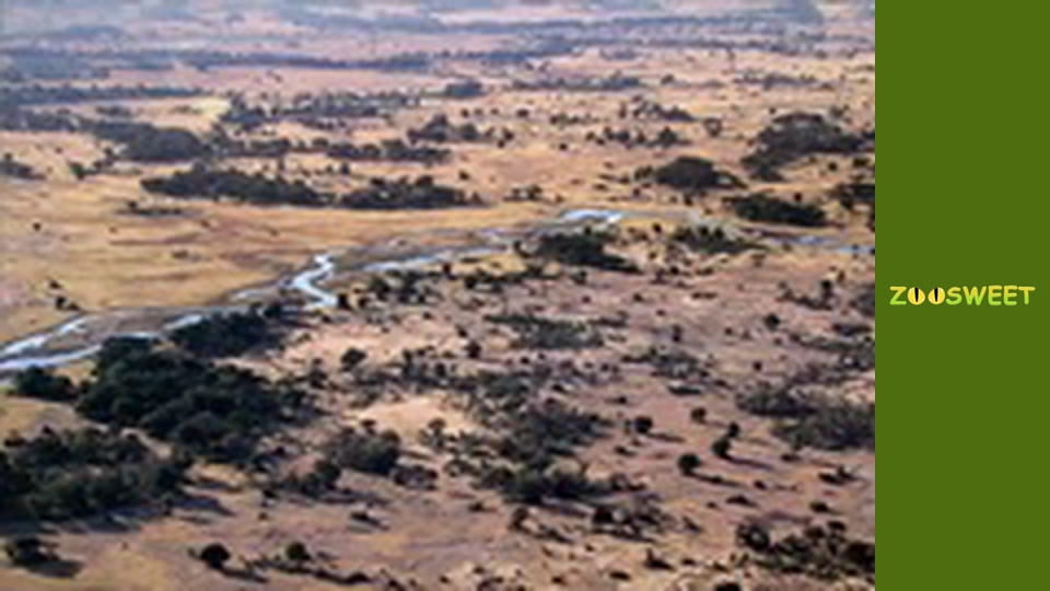 Let's go Wild, Episode 5