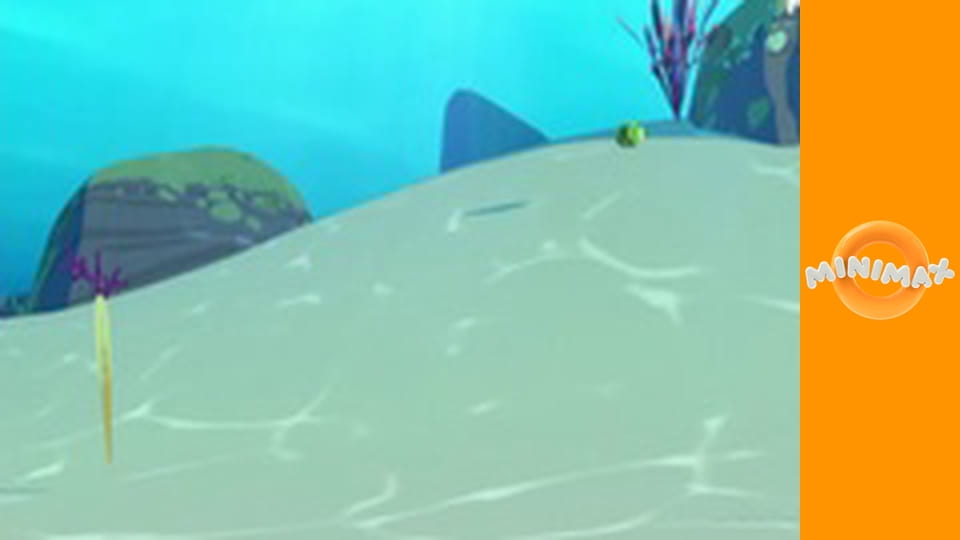 Zoom, a fehér delfin S1E3 - A fekete gyöngy