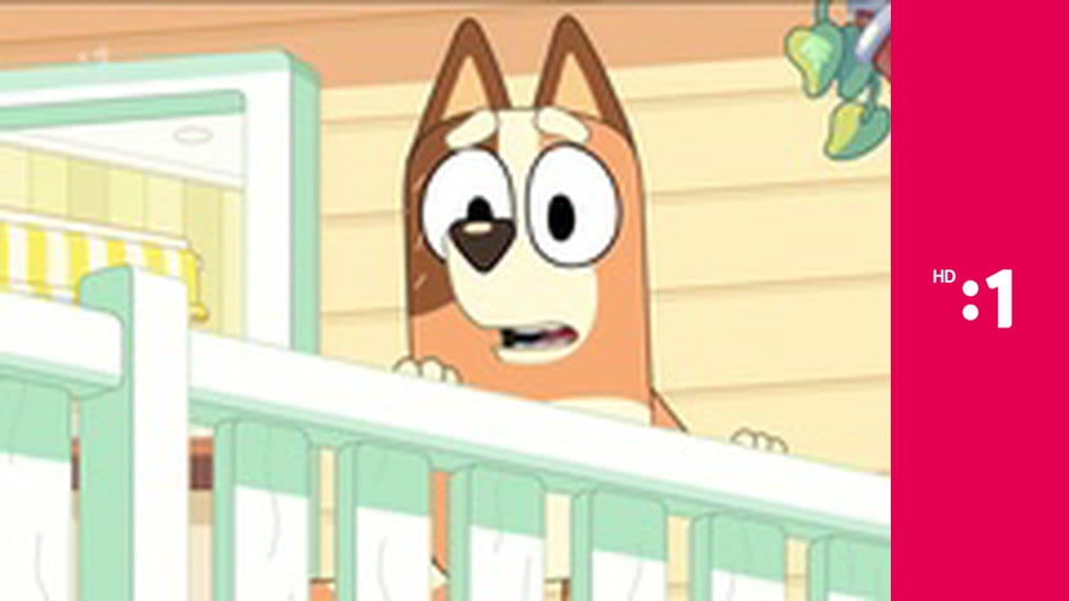 Medvedík Pompon E65 - Žiť ako dospelák