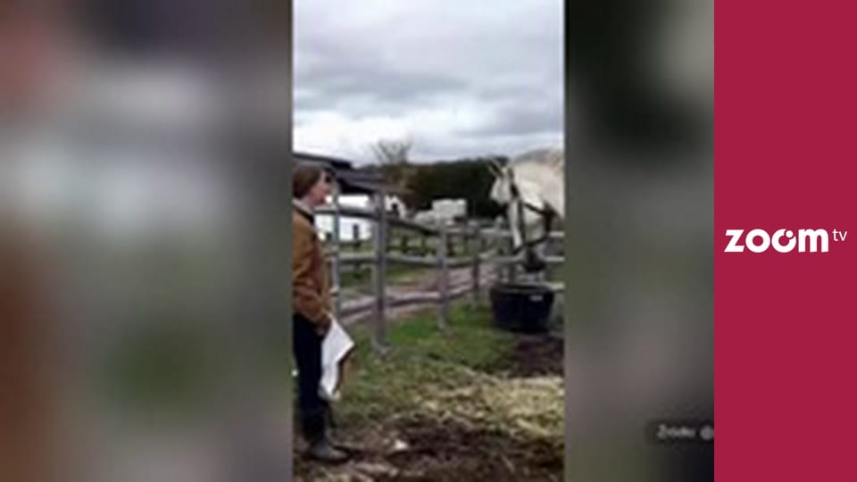 To leci w sieci S1E25