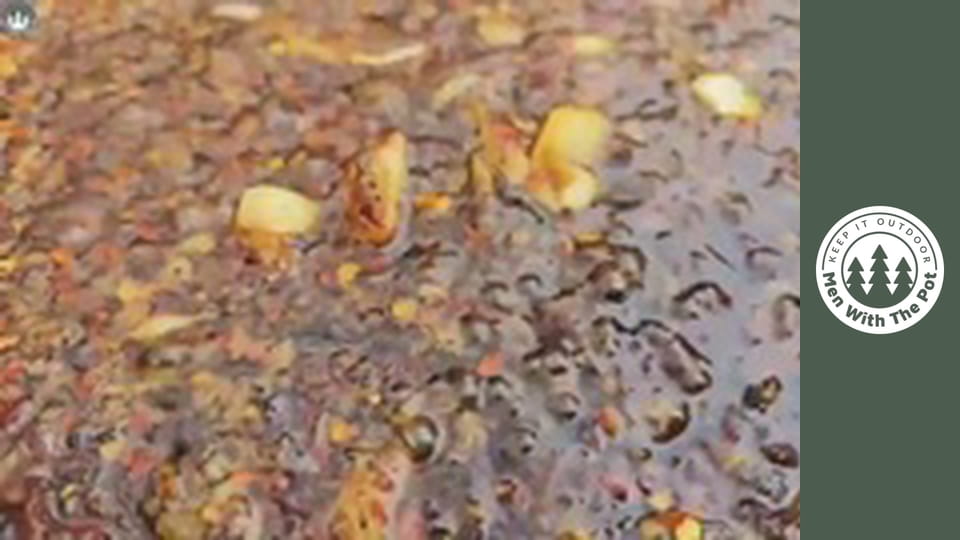 The PERFECT Sandwich