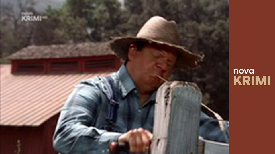 Dr. House S1E21 - Tři příběhy