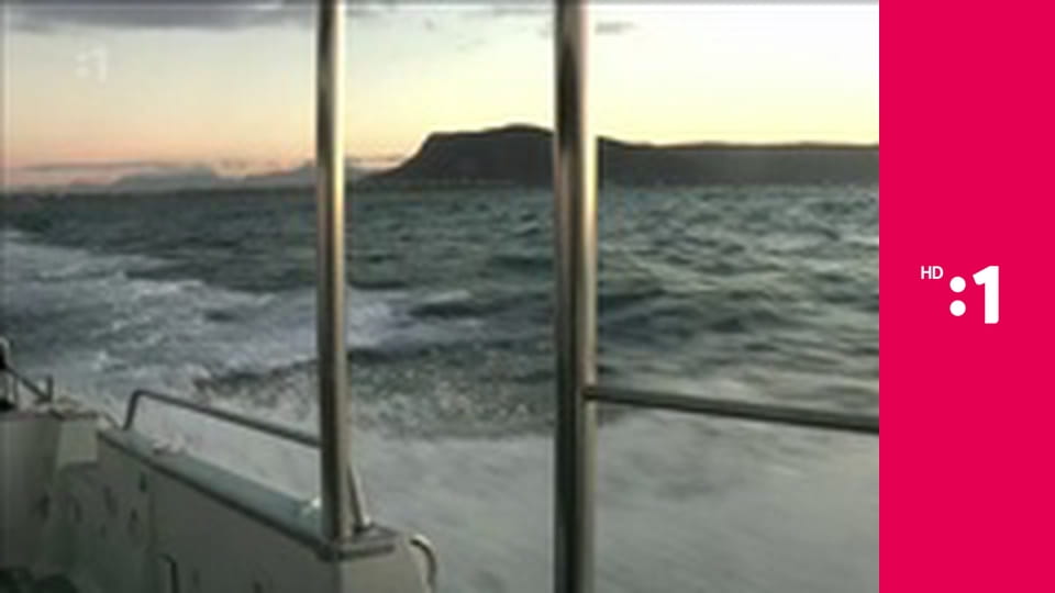 60 zabijakov divočiny E5 - Južná Afrika