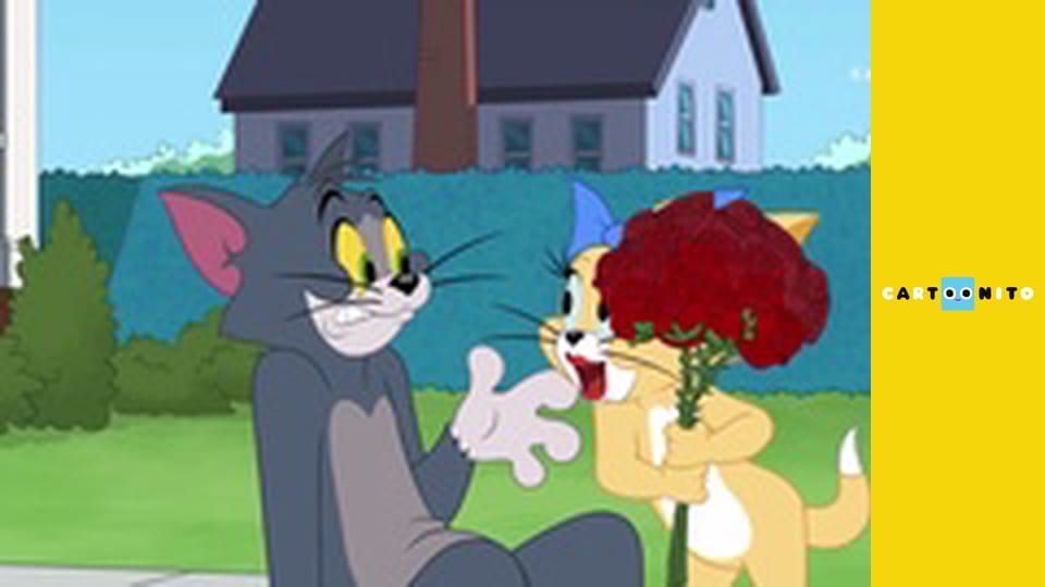 Show Toma a Jerryho S4E53 - Svatý Valentýn